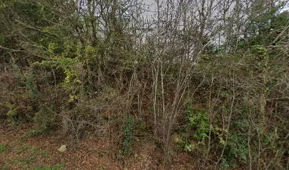 Image de Alliance Piscines Sud-Ouest