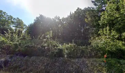 Image de APS PISCINE