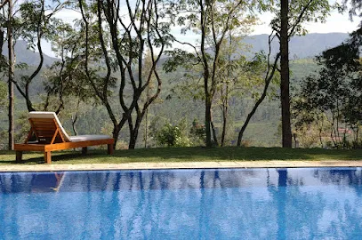 Image de Bleu Celadon - Réparation, équipement et entretien de piscines à Montpellier