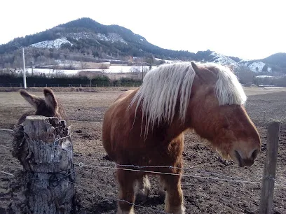 Image de Centre Aqualudique de Seyne