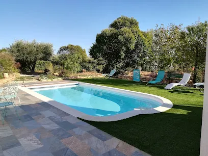 Image de CO PI PRO Piscine à coque var