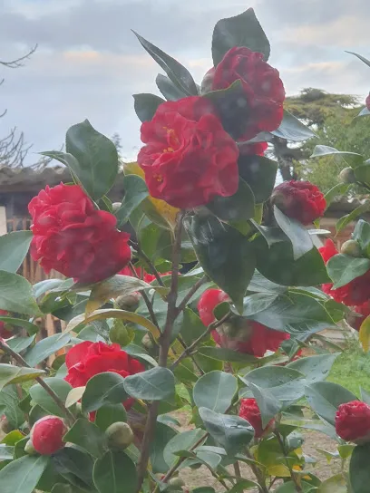 Image de Délices du jardin