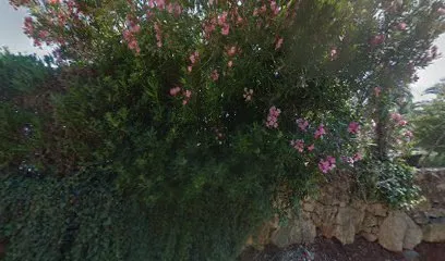 Image de Esposito Jean-Paul