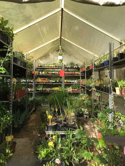 Image de Jardinerie Dupin