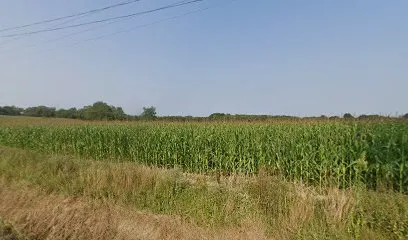 Image de Lanusse Philippe SARL