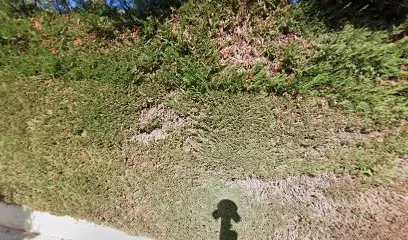 Image de MAGILINE NICE