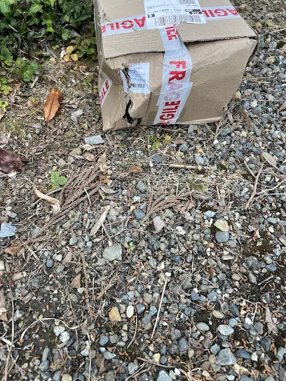 Image de Mg International