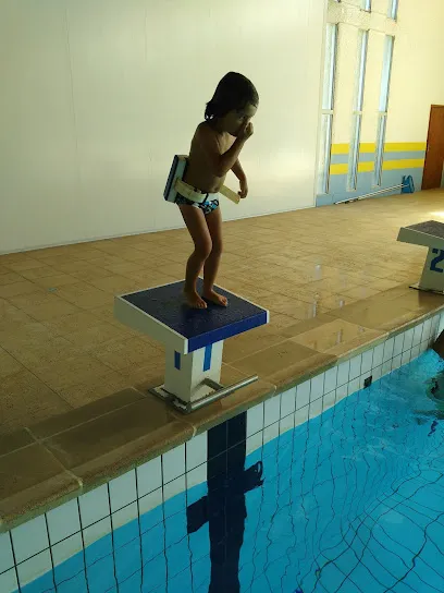 Image de Piscine intercommunale RIEUPEYROUX