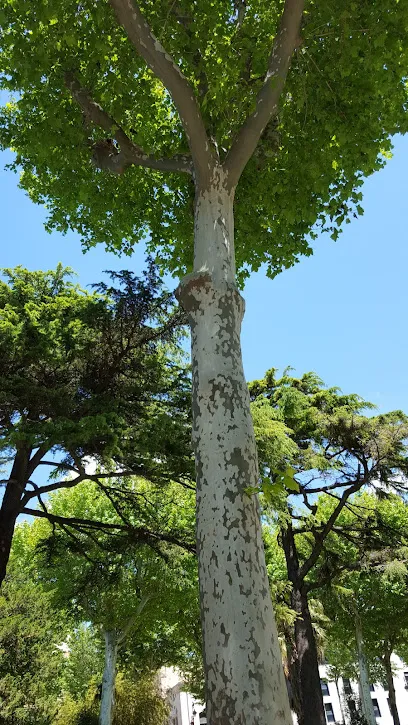 Image de Piscines d'Oc