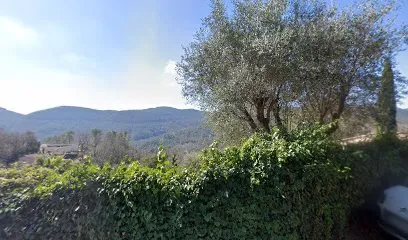 Image de RENOV POOL SERVICES